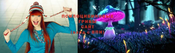 Альфа ПВП Верхний Тагил