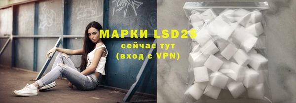 Альфа ПВП Верея