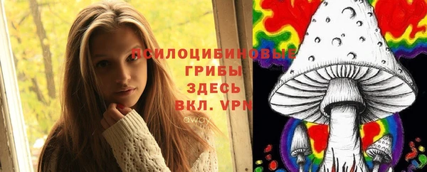 Альфа ПВП Верея