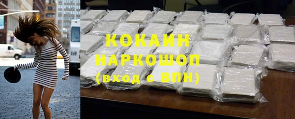 Альфа ПВП Верея