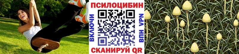 Галлюциногенные грибы MAGIC MUSHROOMS  Шахты 